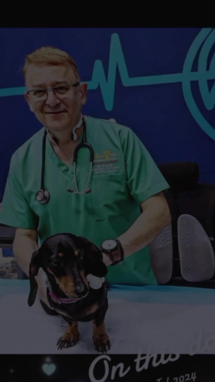@VillagevVet LLC