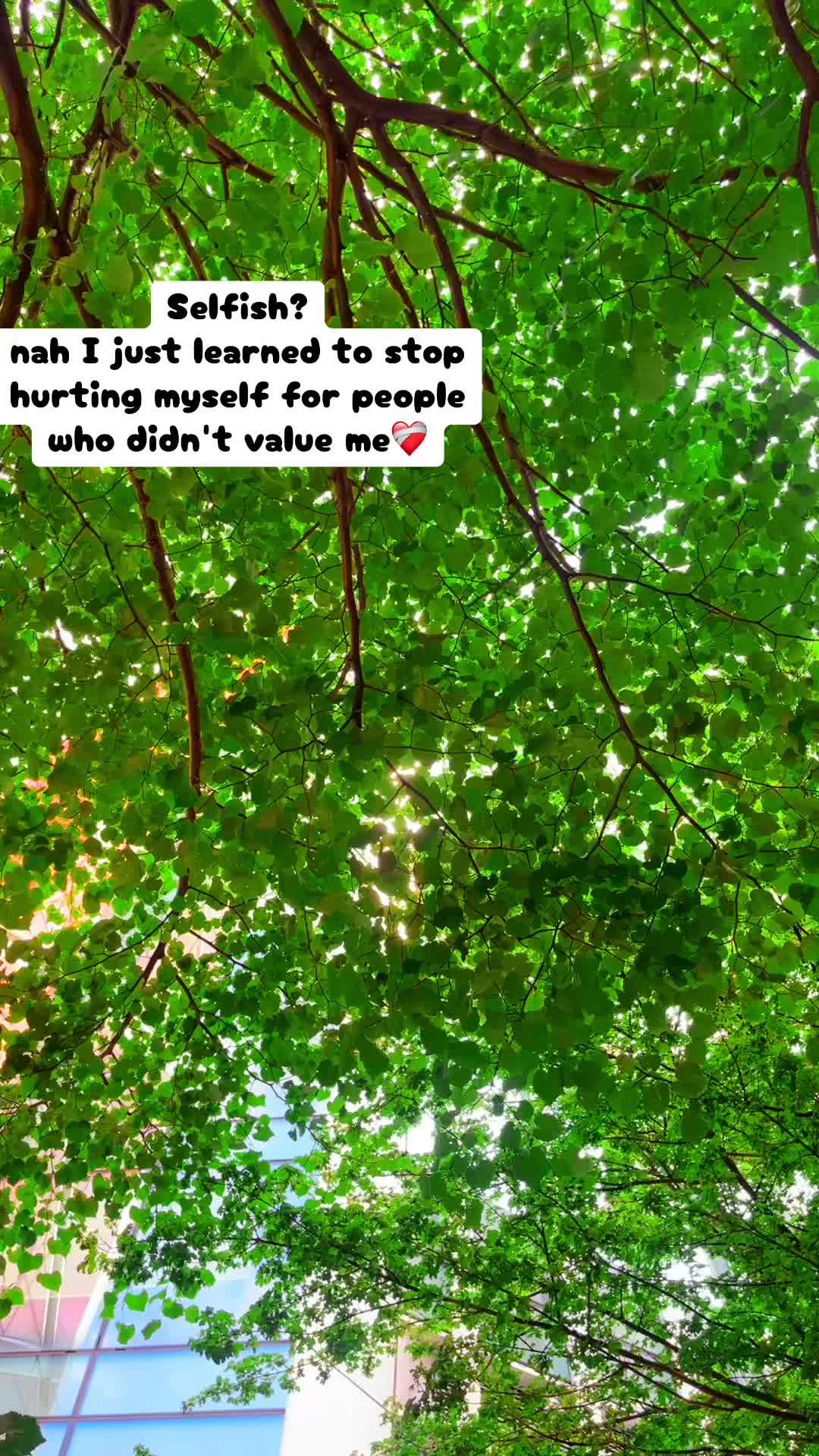 @Musafîr🧿🪬