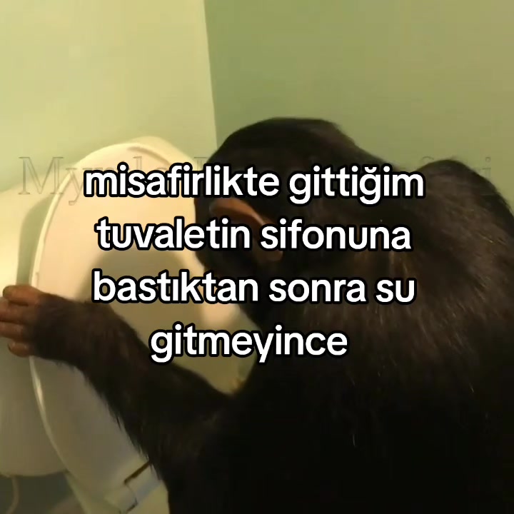 @rolland