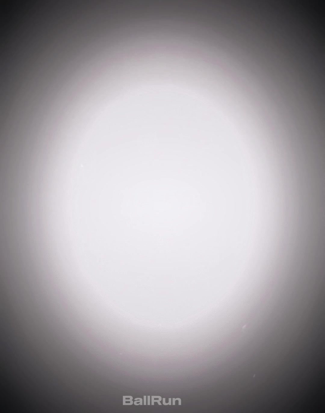 @𝓑𝓻𝓾𝓷𝓸'𝓼 𝔀𝓲𝓯𝓮