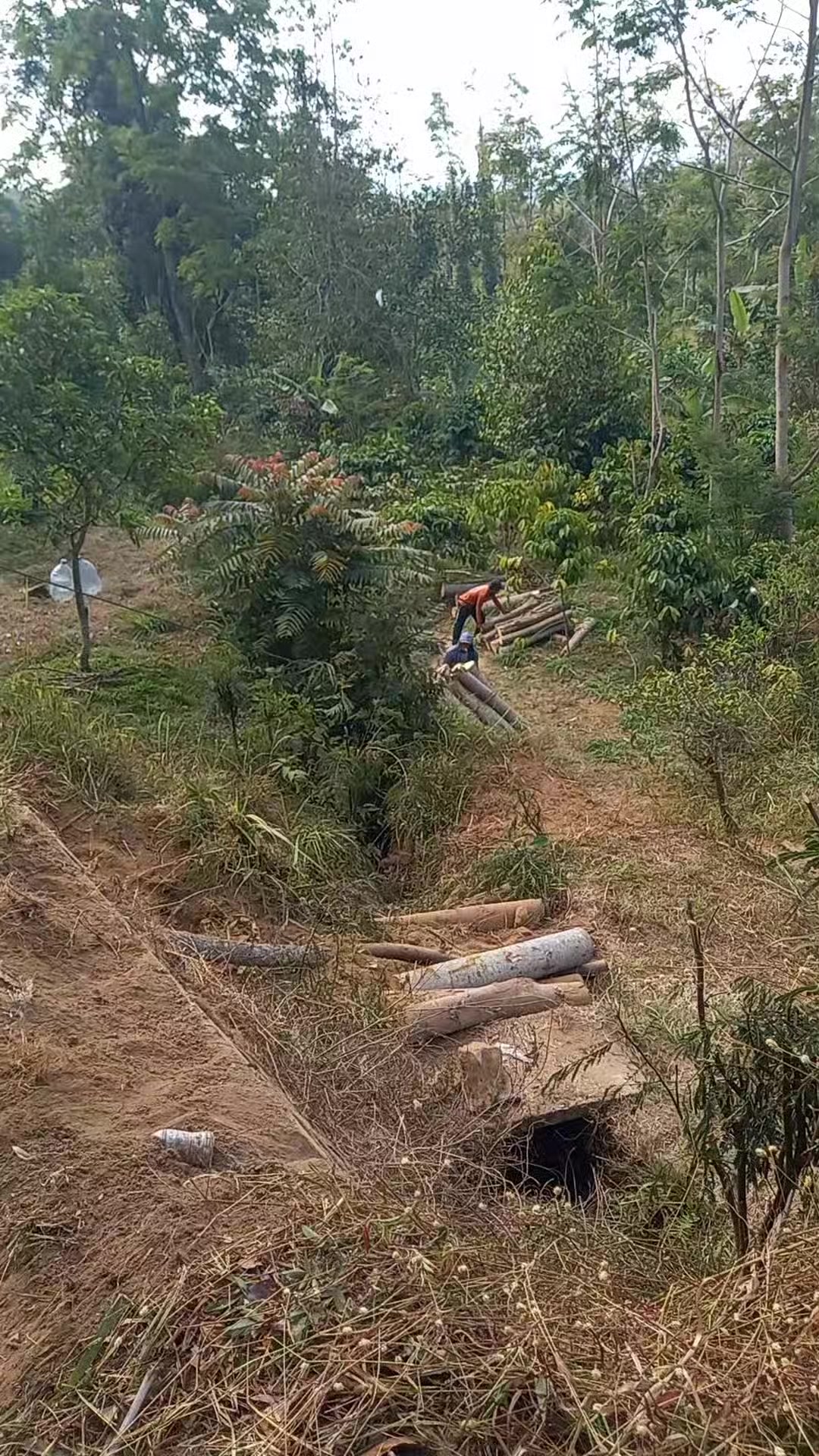 @nandriyanto0
