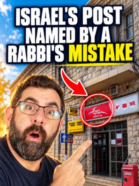 @Elon Gilad