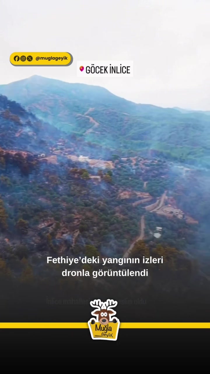 @Muğla Geyik