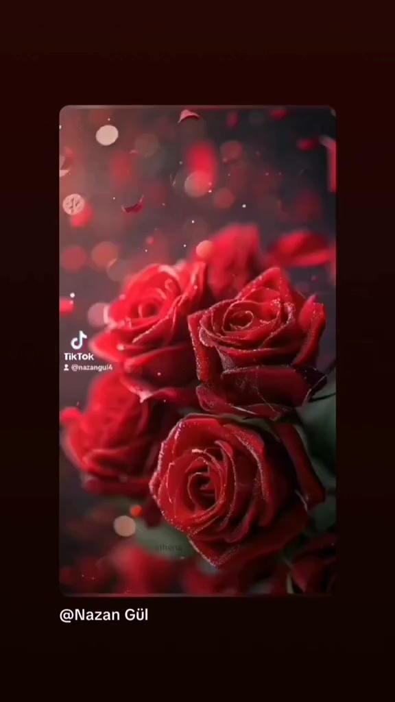 @🌹🌹Nazan Gul 🌹🌹