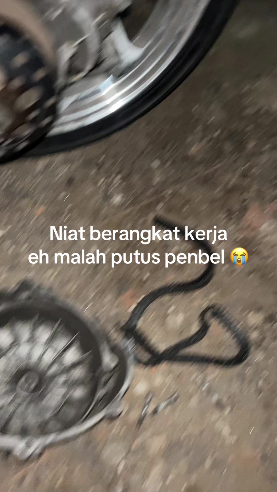 @Ajura Beast