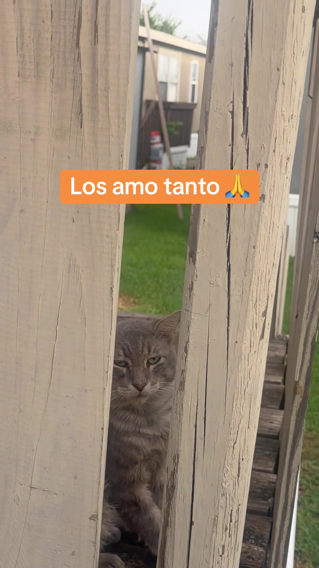 @Nana Valero