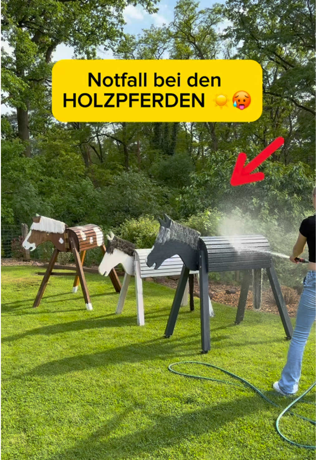 @kht_horselife