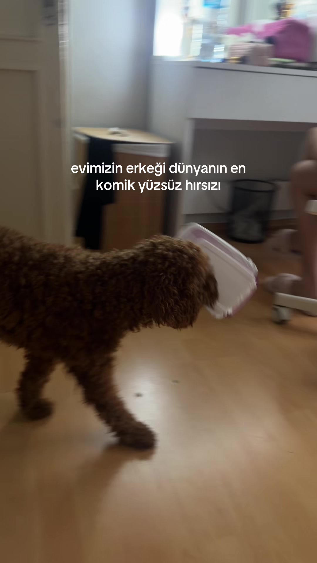 @c&uuml;c&uuml;🫒🌟