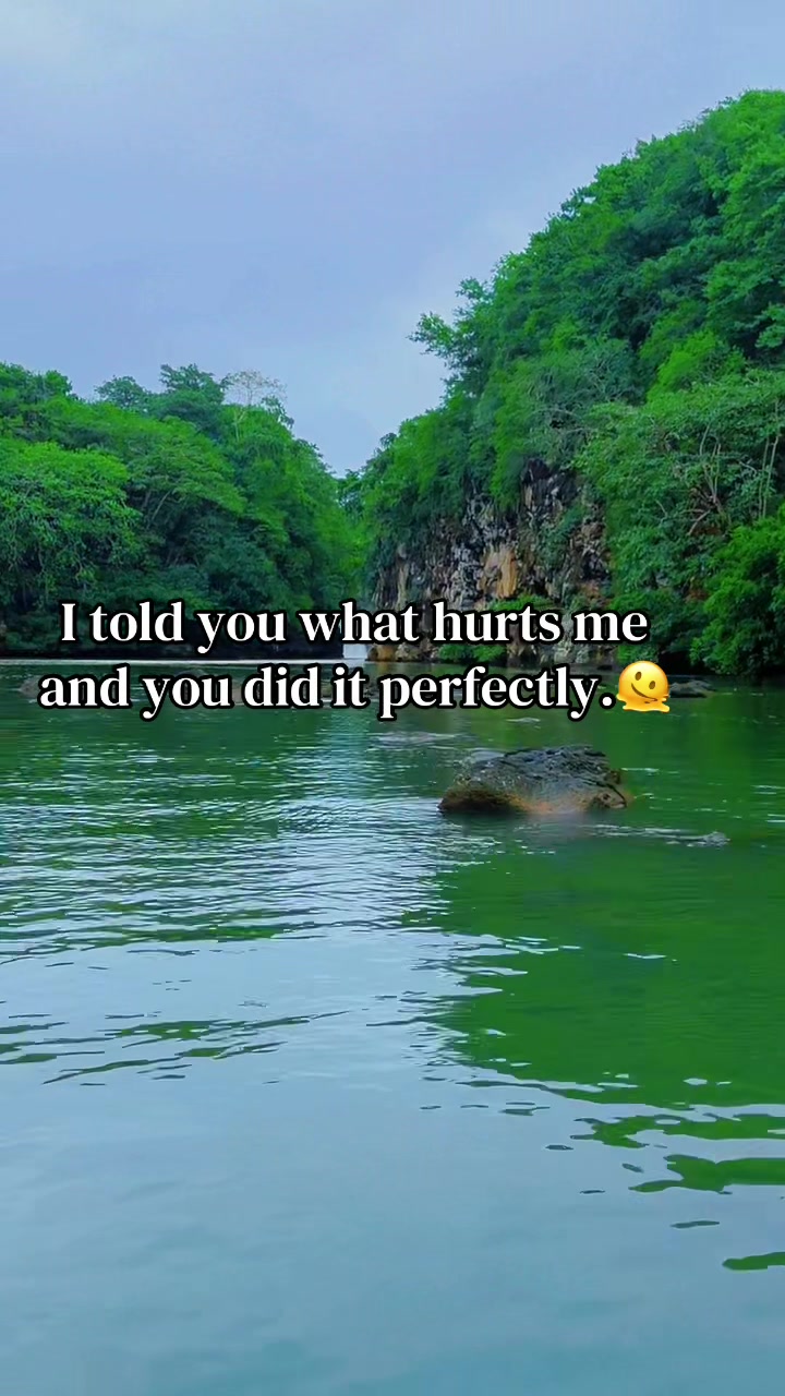 @ᴠÄɴᴇᴇᴛ ❤