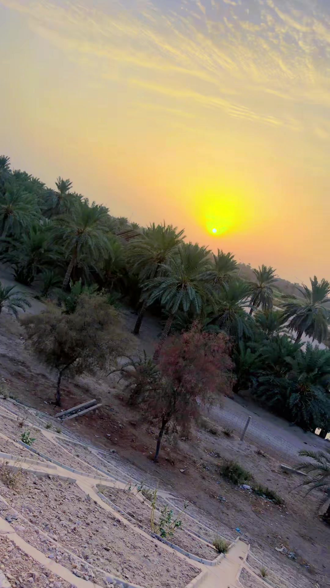 @Safiullahmarwat333
