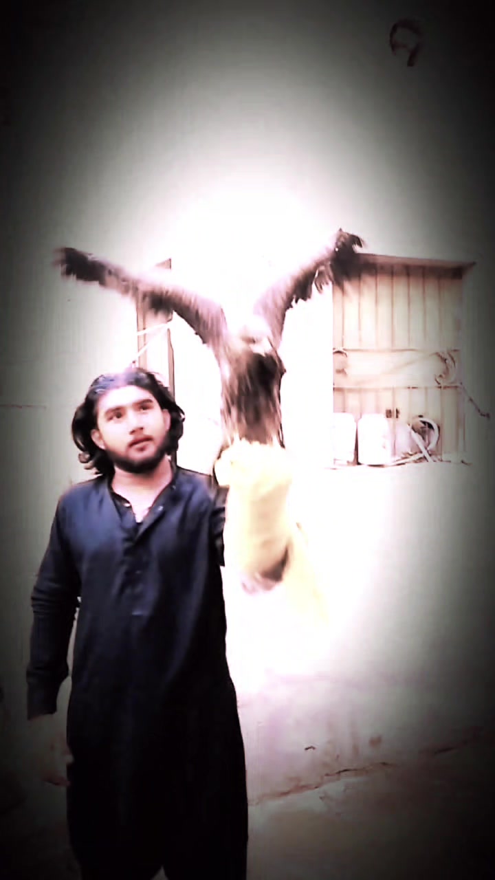 @Malik maqsood