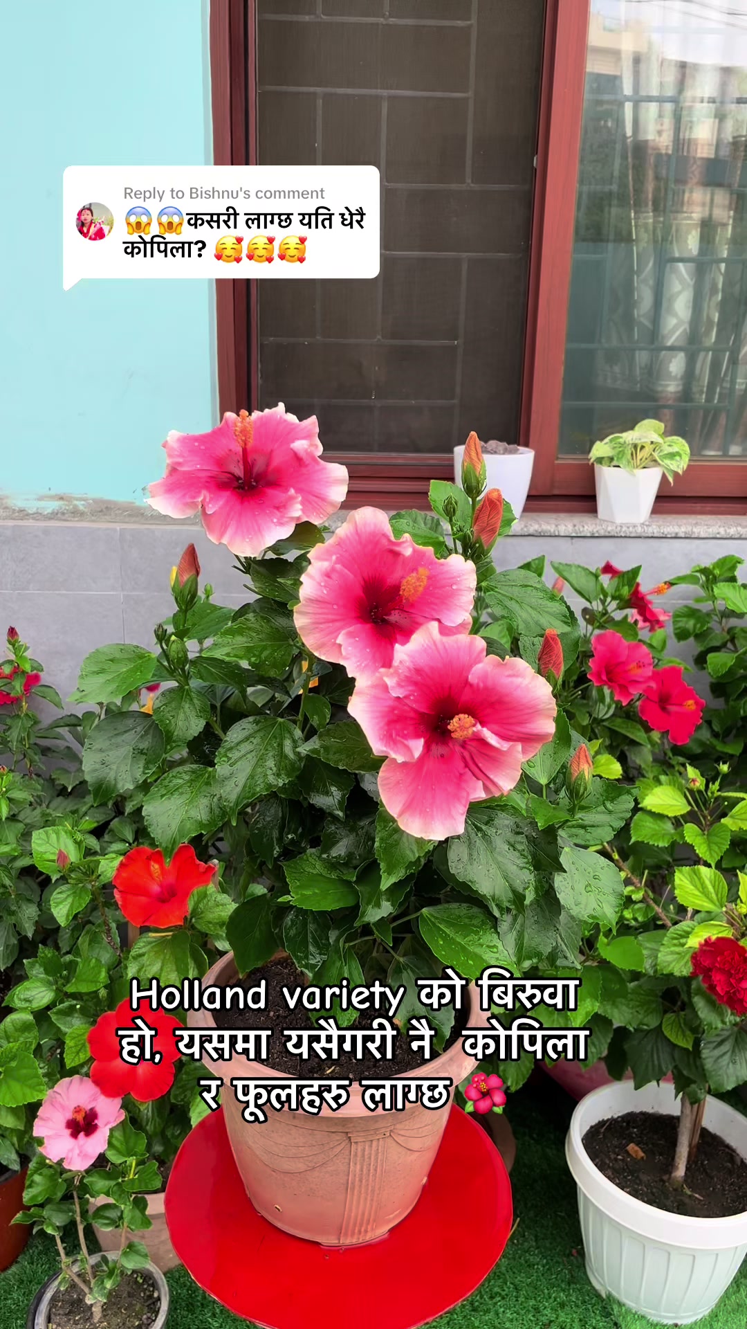 @poonam_shah 🧿🍀