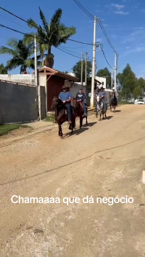 @cesarimoveisbm