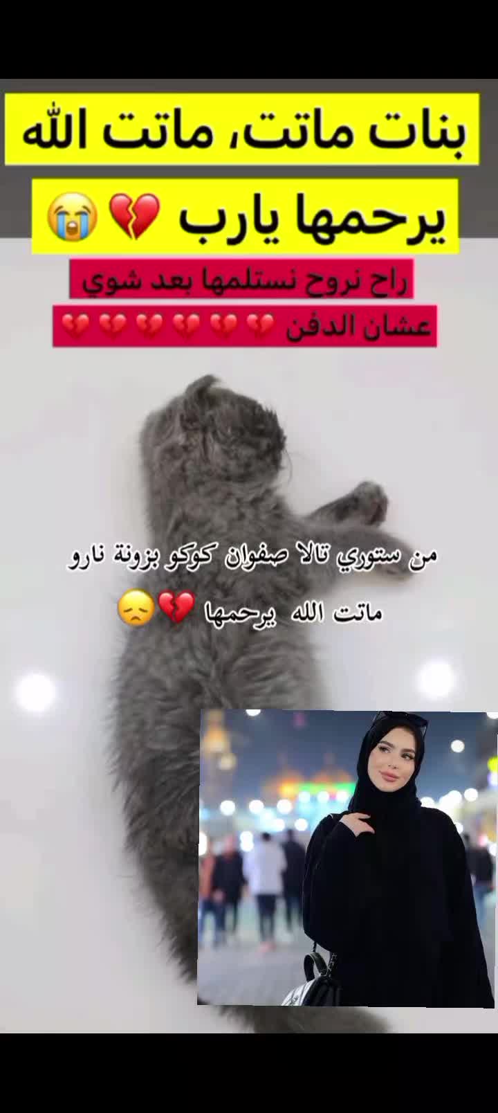 @𝘼𝙎🥇𝟭𝟮