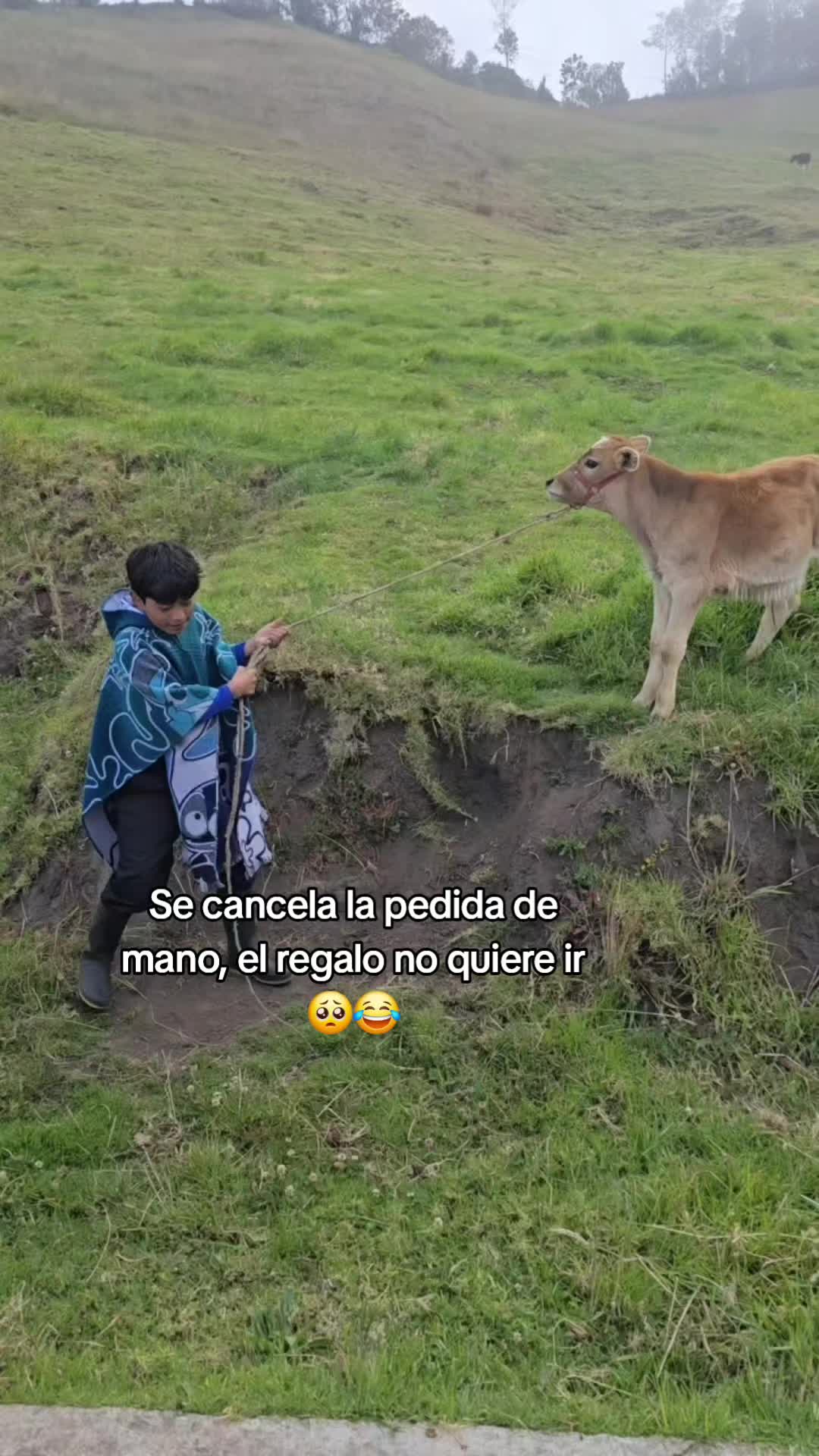 @Edison Cayambi 🥏