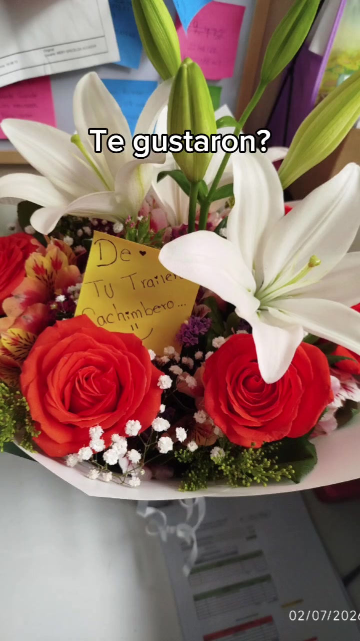 @Judith luna