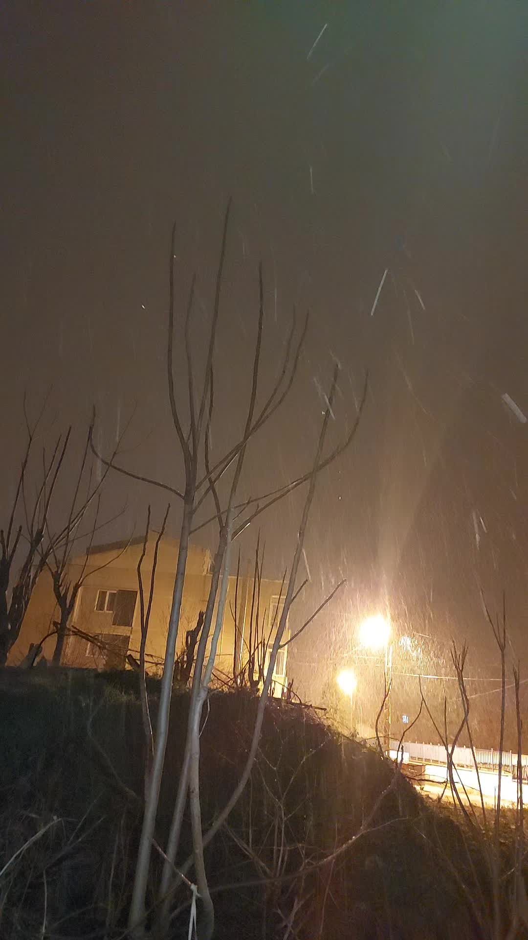 @levent.cigdem