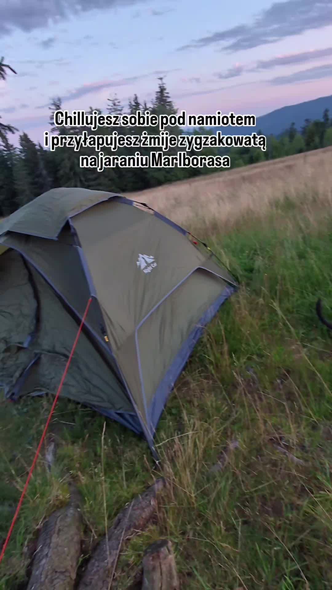 @przyBULLski