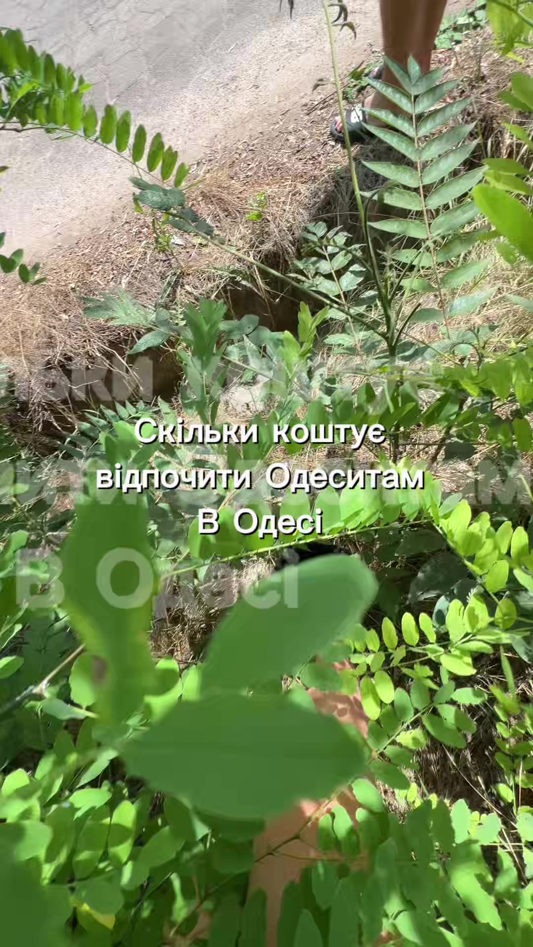 @albinaaaa🎀 | блог
