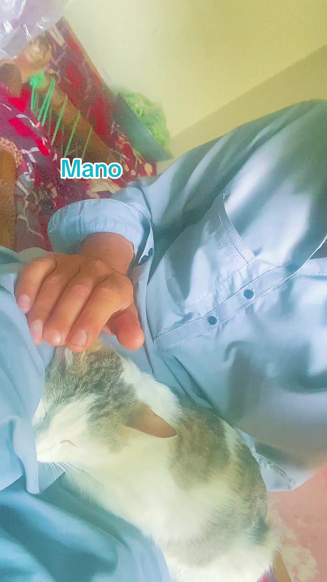 @طاہر بٹ چڑھوئی آلہ🔥