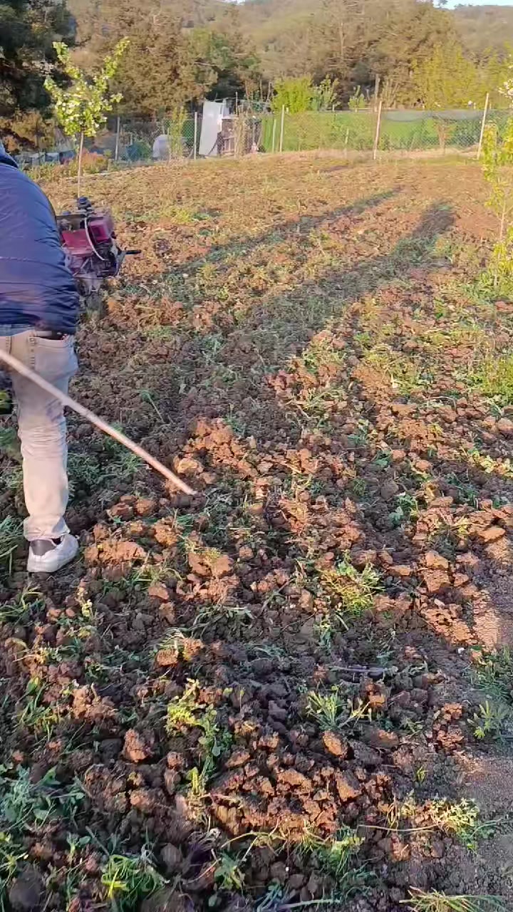 @K&ouml;roğlu75