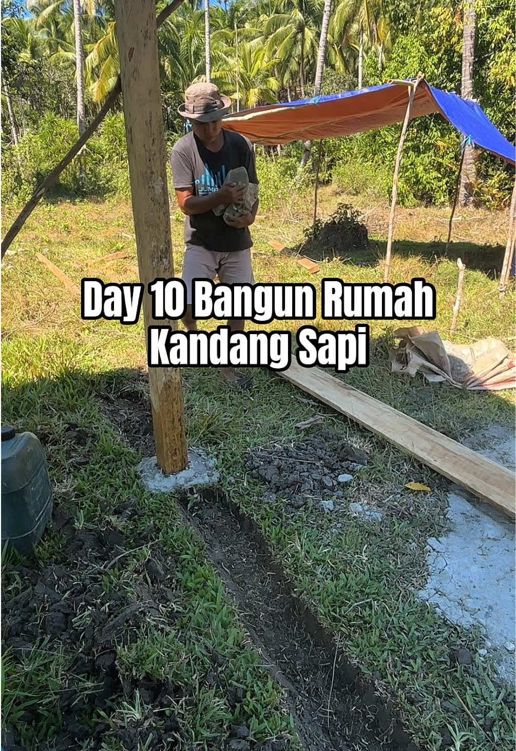 @Ka Bong 🌴