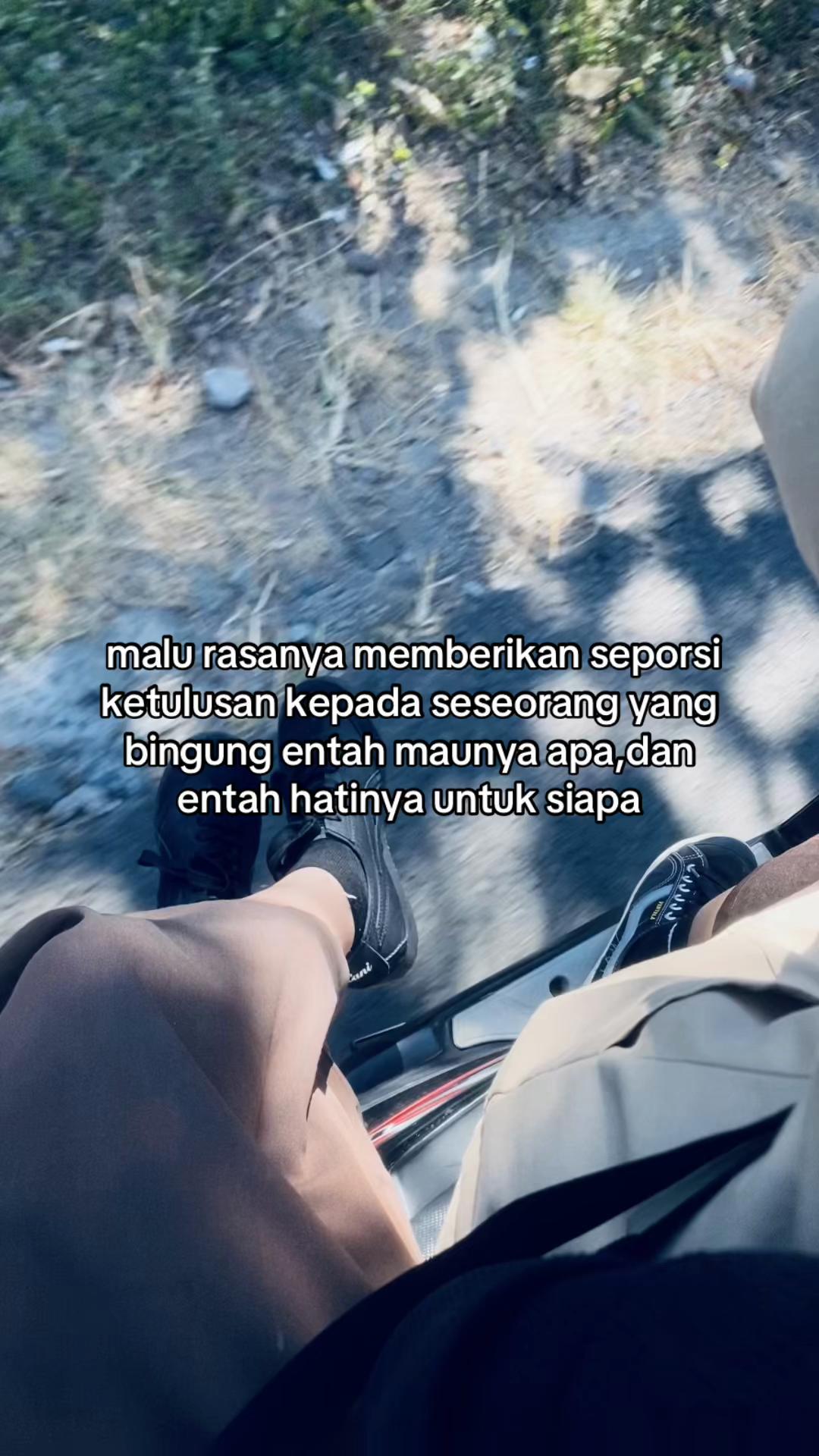 @pecintadimsummentai