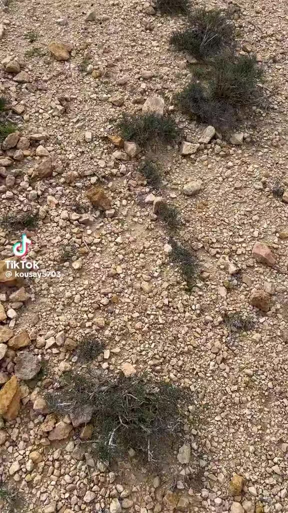 @اسماعيل خليل