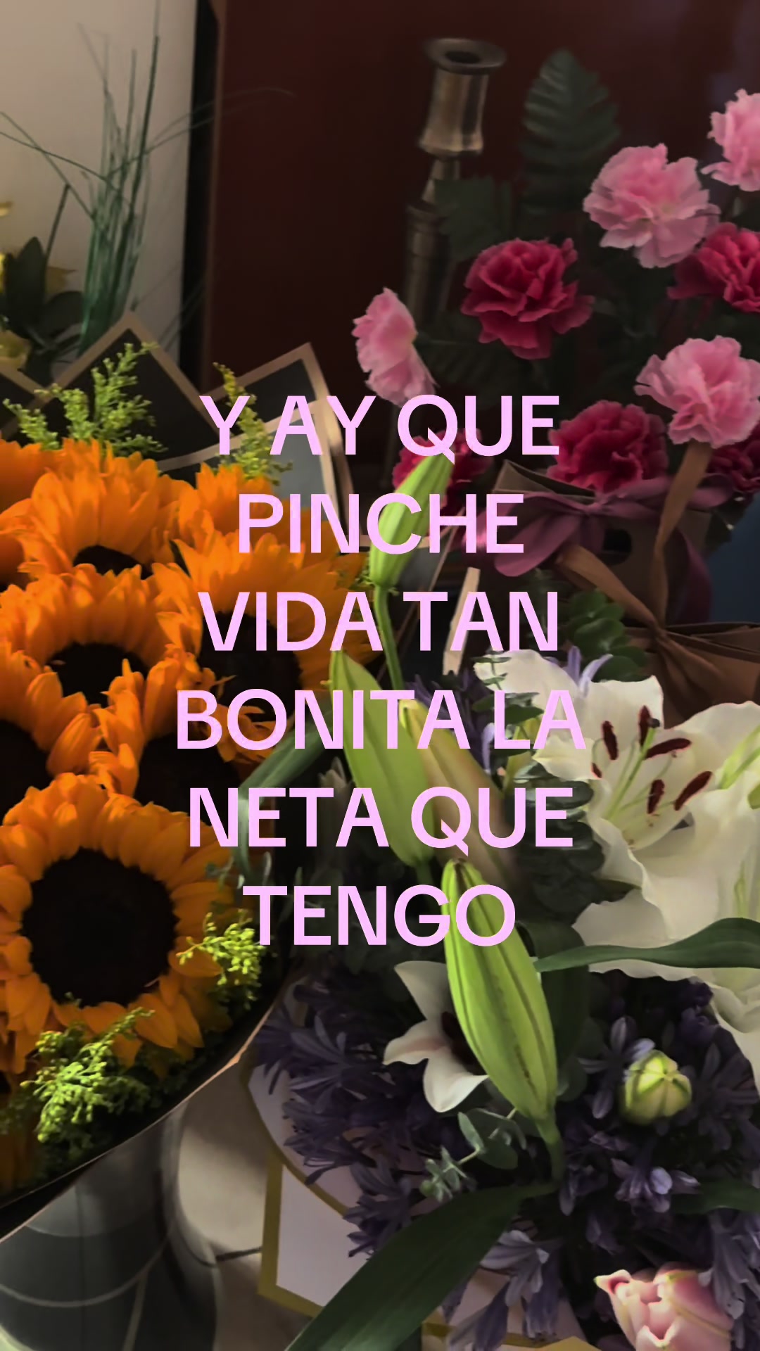 @Lau✨