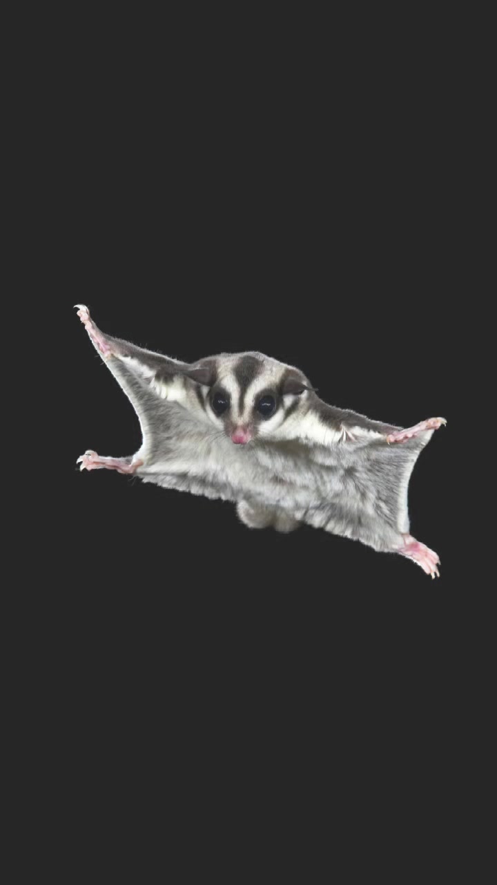 @pi