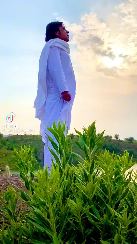 @wafah