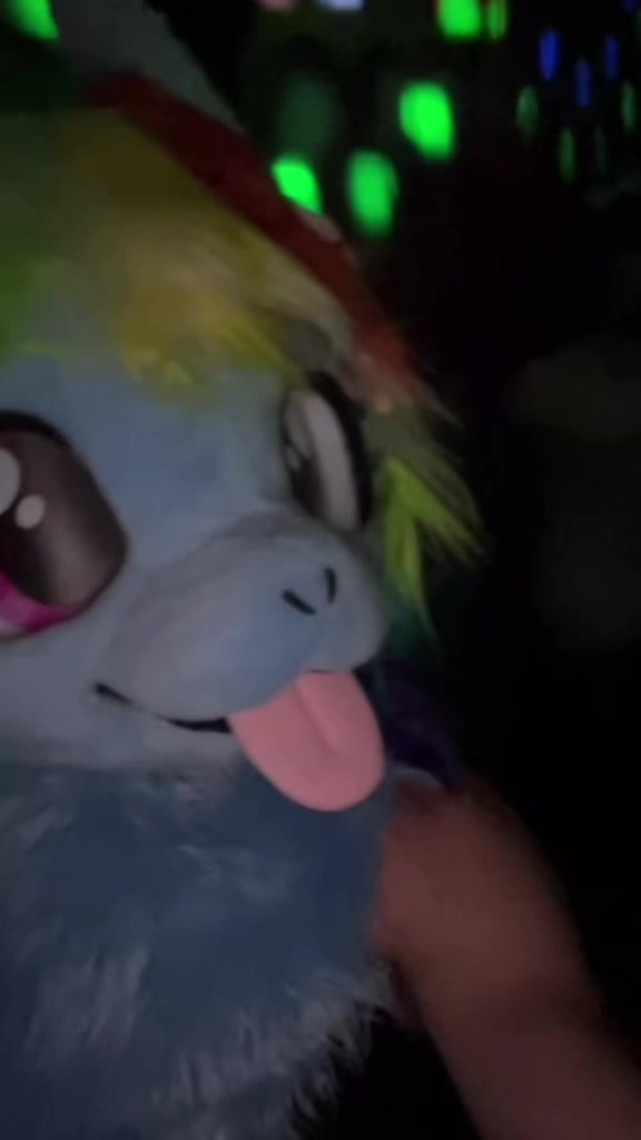 @Faye/Dashie/Xobunni