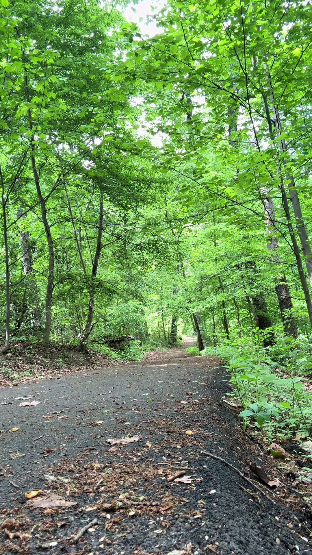 @Attiq🇺🇸Ahmad