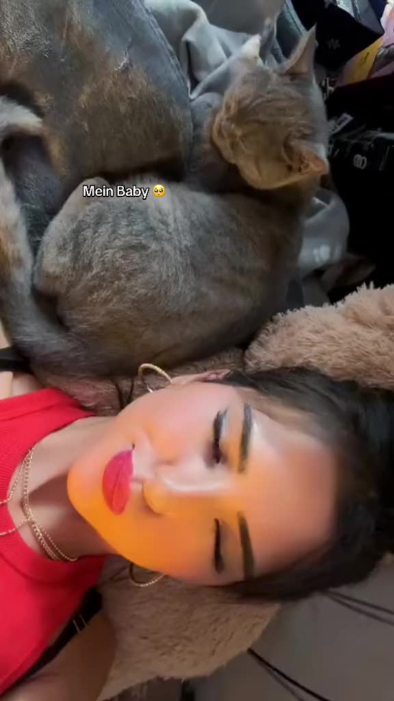 @๐๐๐๐๐๐๐๐ ๐งก๐งธ