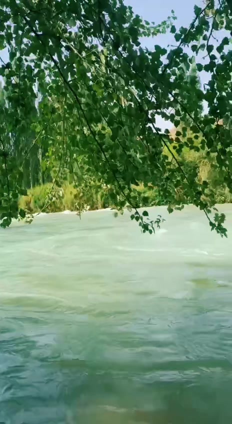 @wave.di
