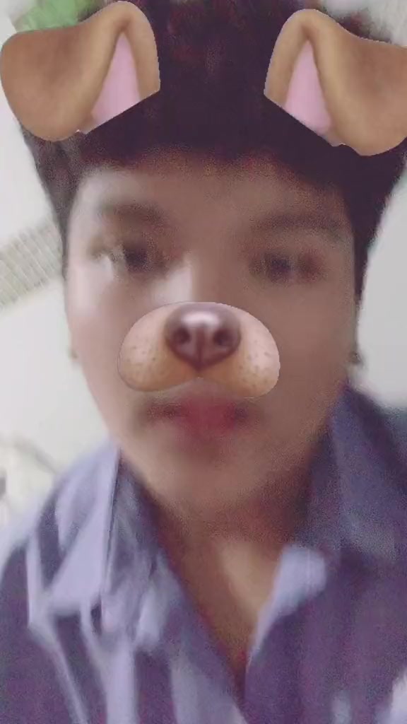 @kokigogikogiagiko