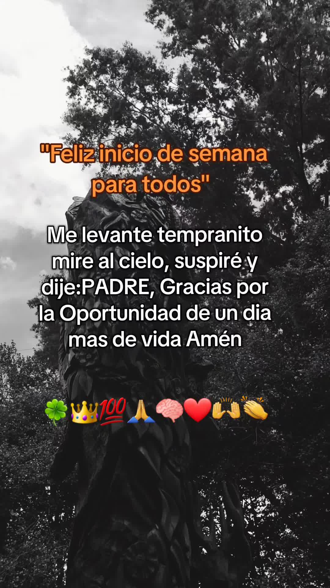 @Noe