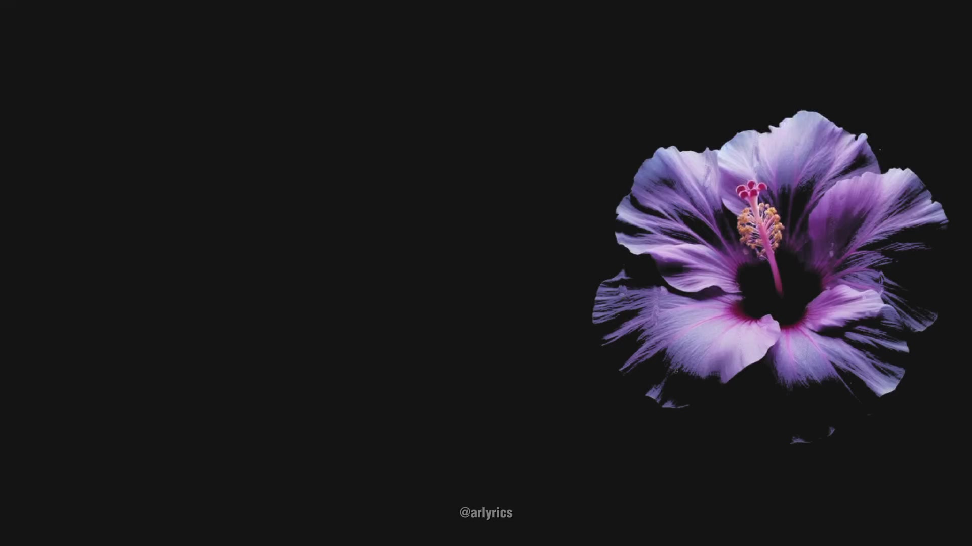 @ARLYRICS