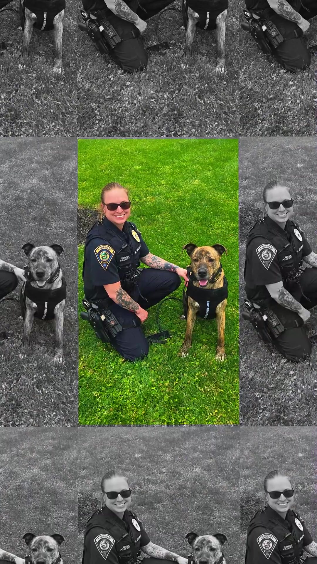 @Vested Interest in K9s, Inc.