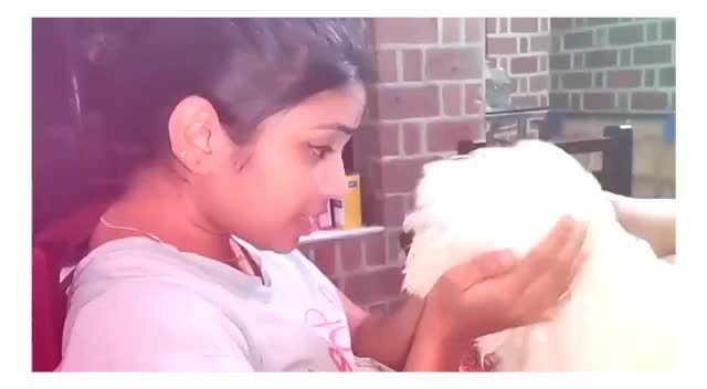 @praseethakarthik