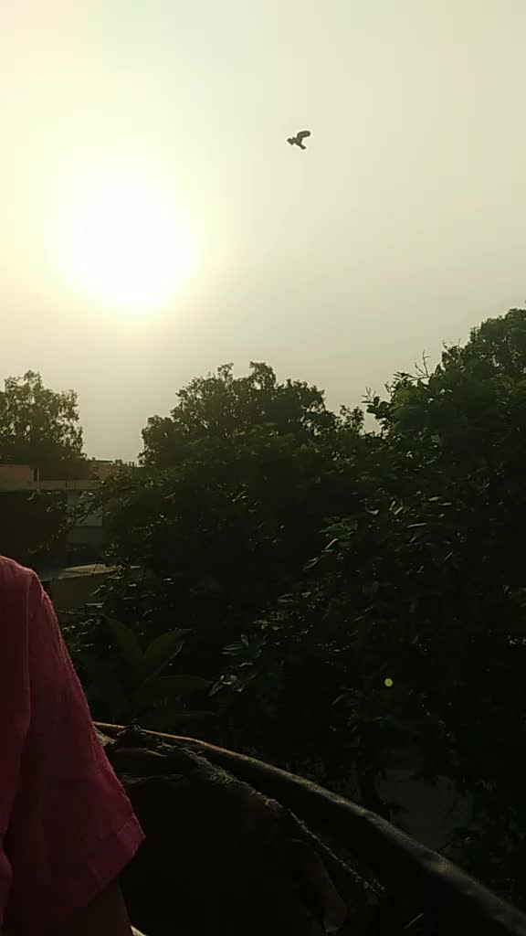 @Neelam Verma