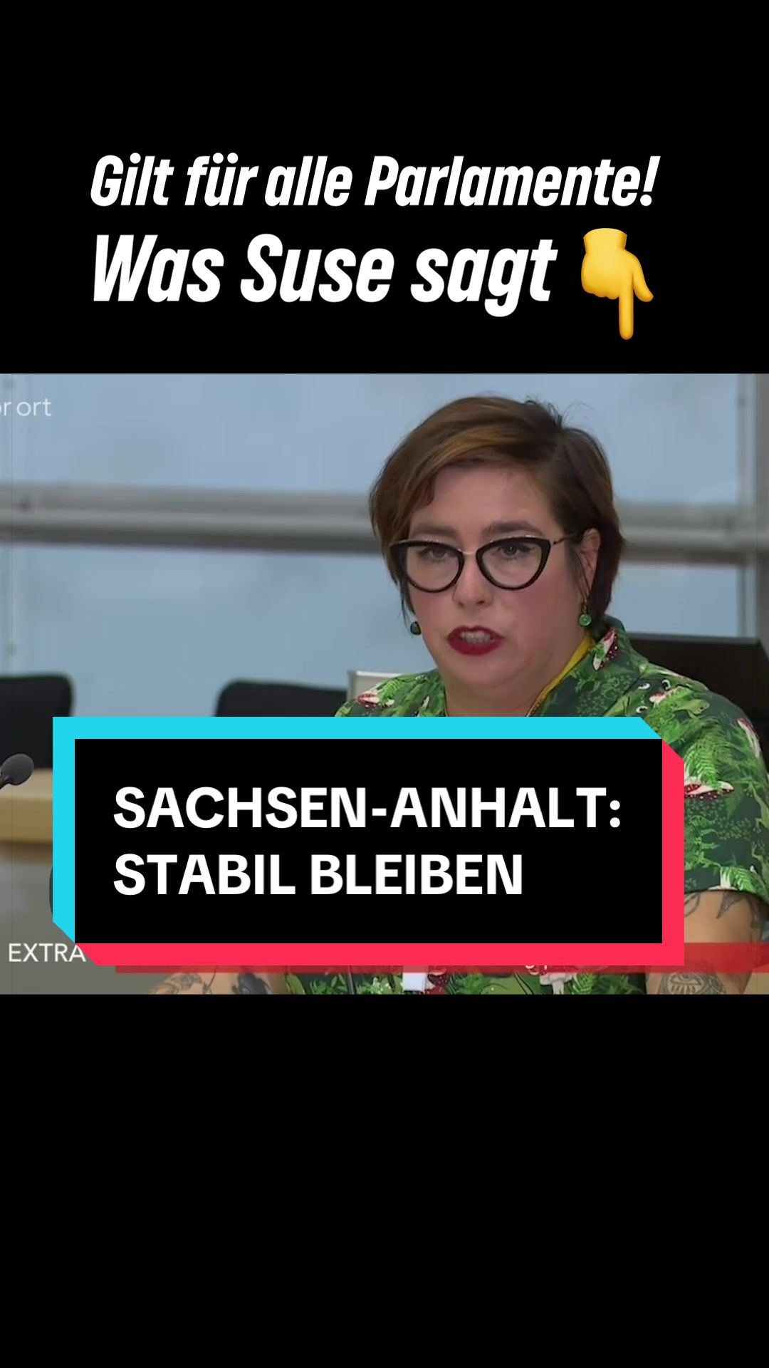 @Grüne im Bundestag