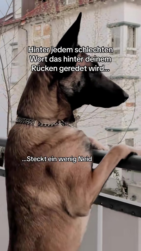 @edelsky_