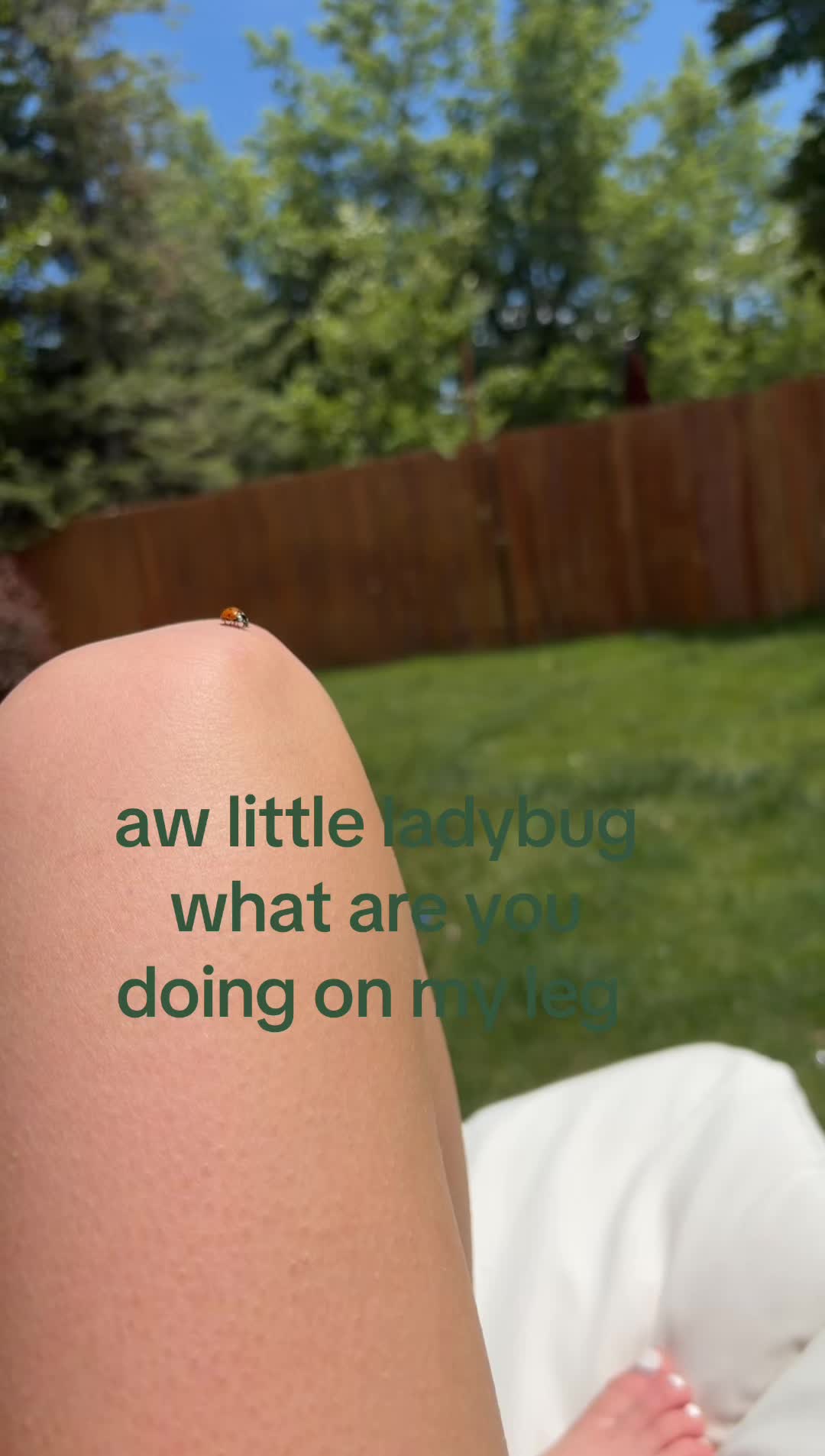 @ih8evry1sm