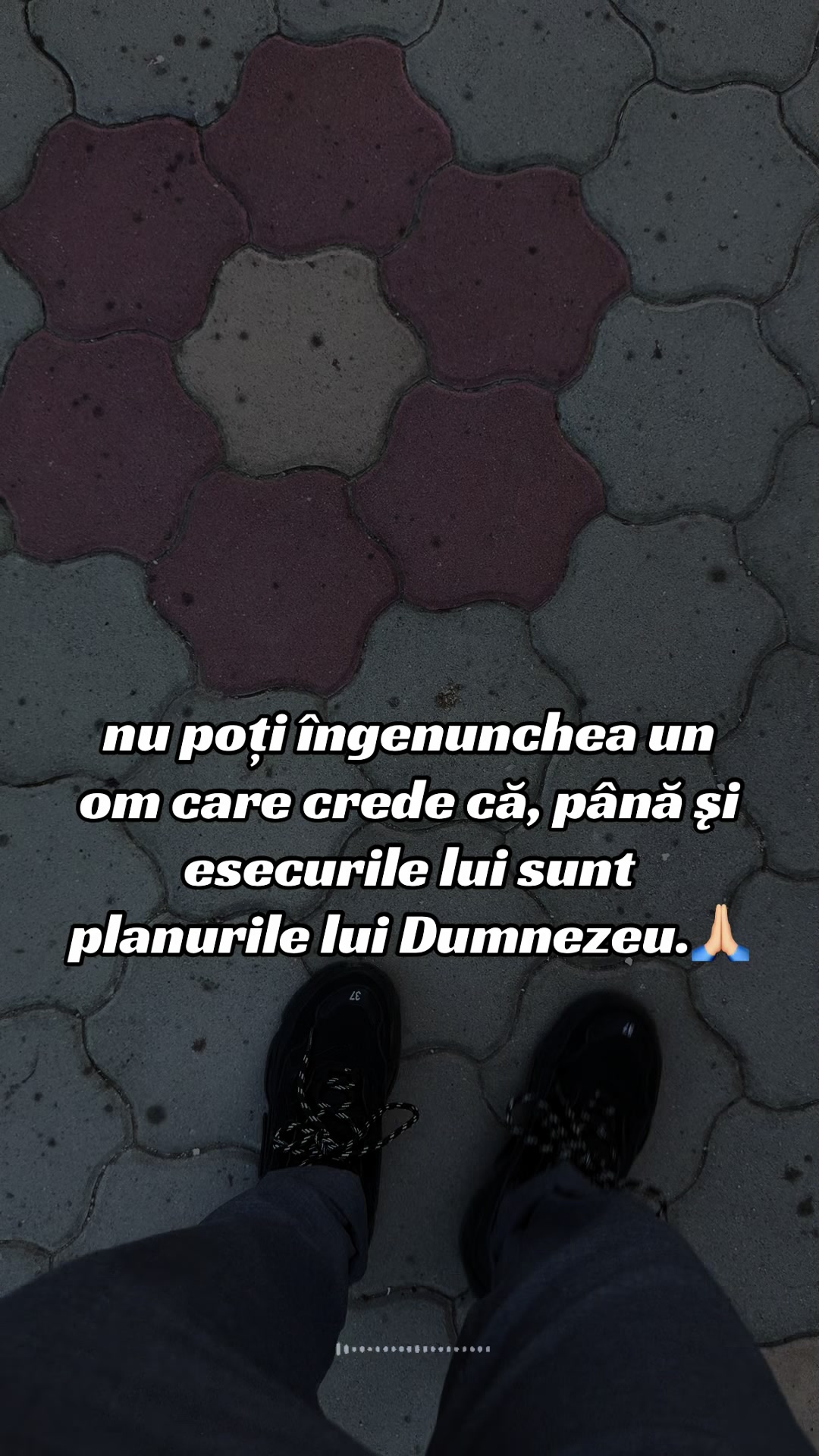 @bubu🇨🇭