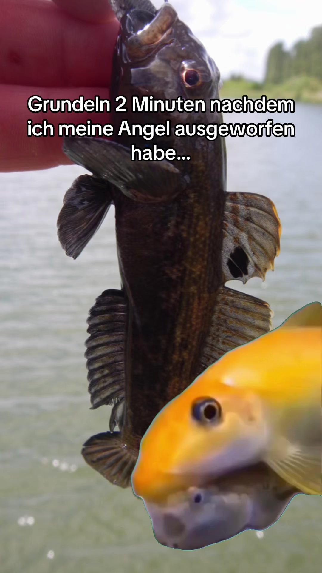 @fishingmaex