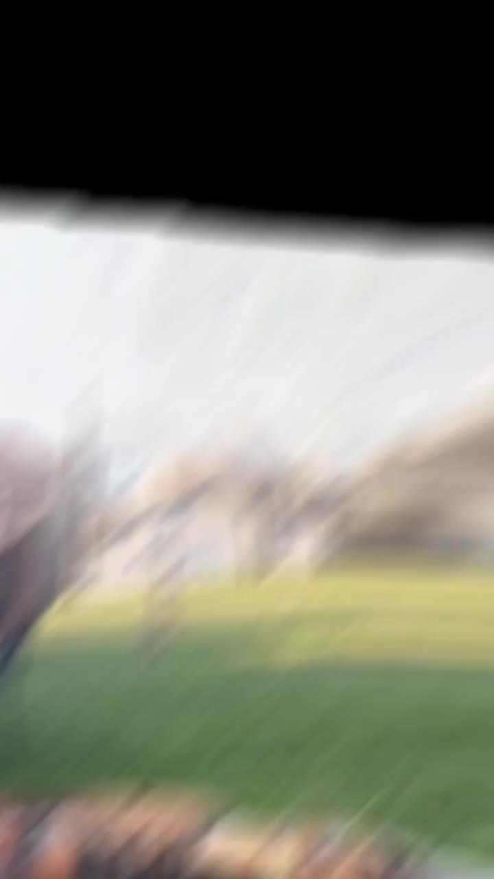 @Vikesy IRL