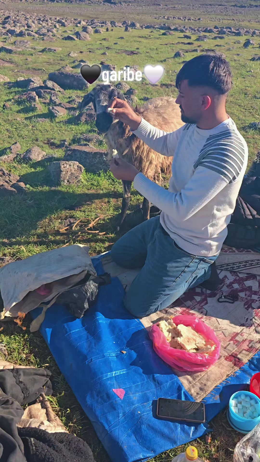 @🗽EMRE ŞAHİNOĞLU 🗽