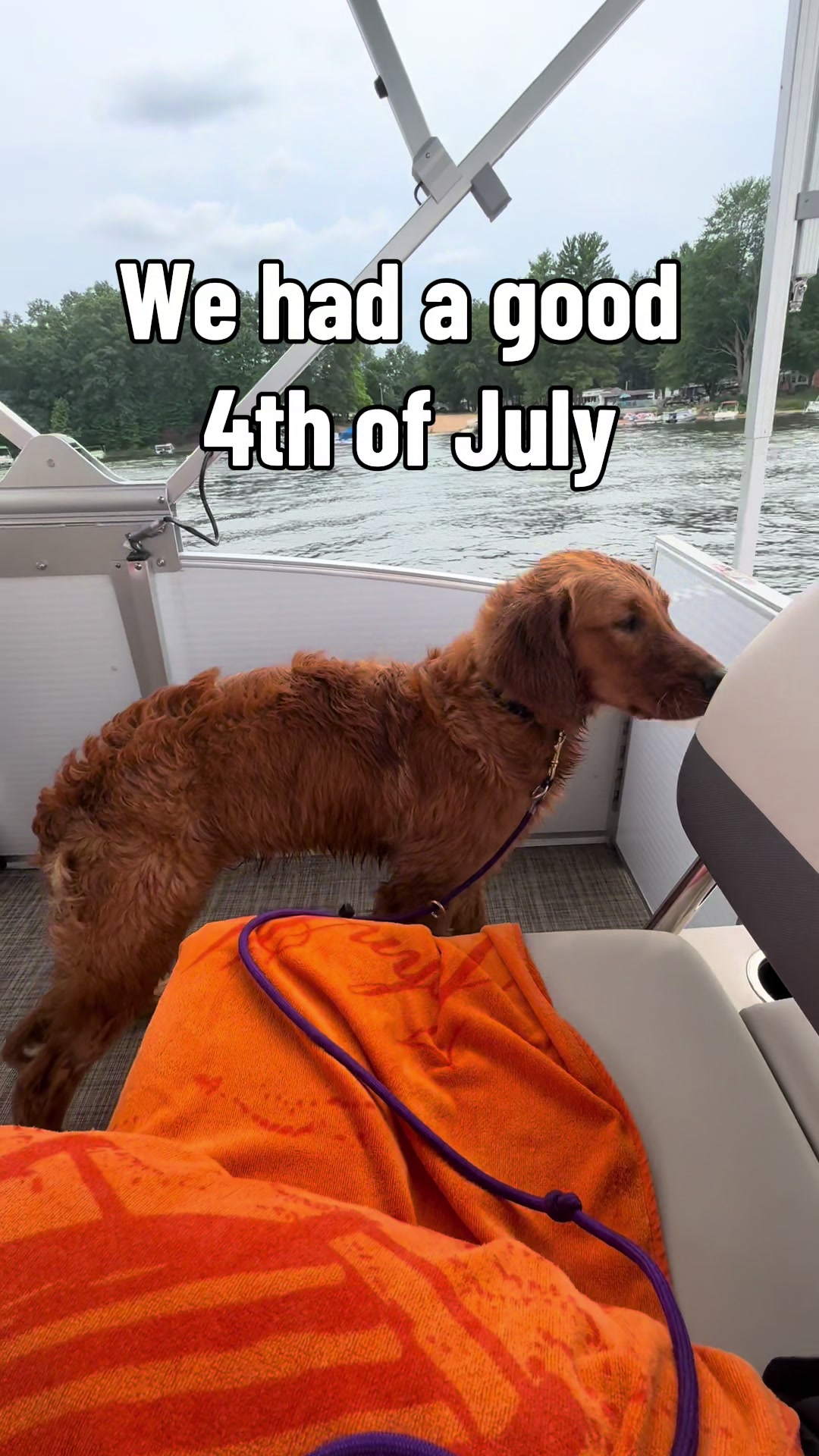 @potsiewithdogs
