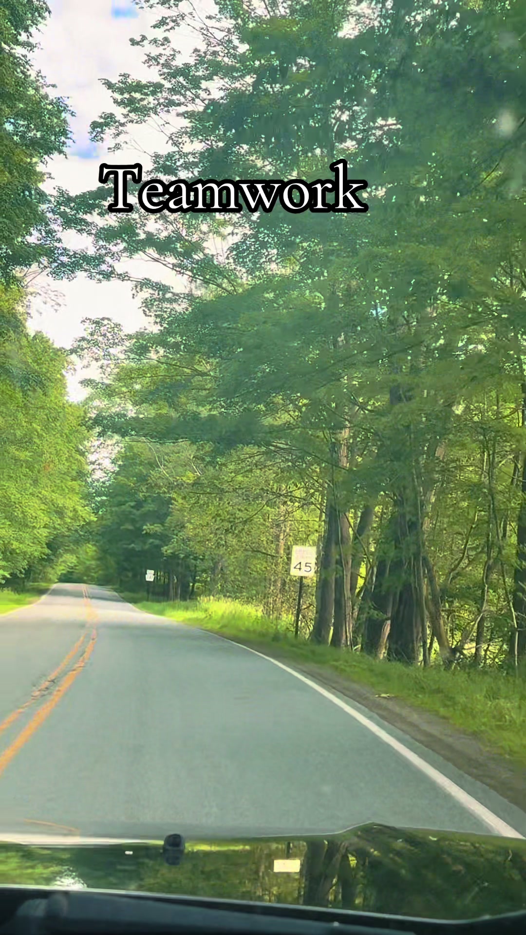@Sigua TikTok